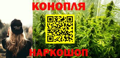 не бодяженный Камышлов