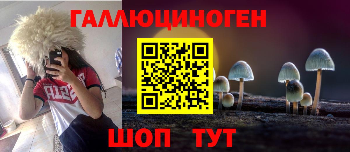 Псилоцибиновые грибы Cubensis Карталы